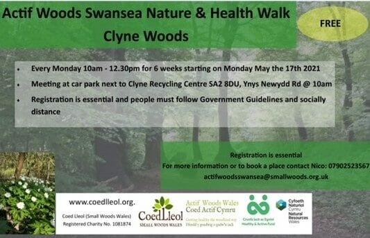 Actif Woods - New Walks - May 2021 – Clyne Valley Community Project